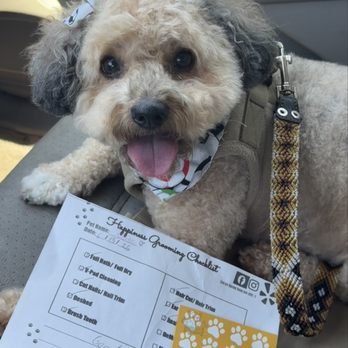 Happiness Grooming - Pet Groomers Near Me - Van Nuys, California