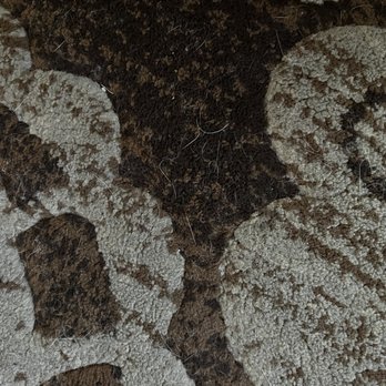 TMW Cleaning Services - Still cat hair all over the carpet - Office Cleaning Near Me - Las Vegas, Nevada TMW Cleaning Services - Still cat hair all over the carpet - Office Cleaning Near Me - Las Vegas, Nevada