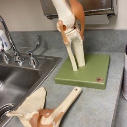 Spectrum Orthopaedics