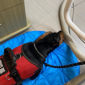 Smilebody - Almost done and I just was resting and waiting for my Mom. - General Dentistry Near Me - Santa Clarita, California Smilebody - Almost done and I just was resting and waiting for my Mom. - General Dentistry Near Me - Santa Clarita, California