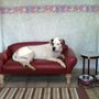 JCM's Luxury Pet Resort