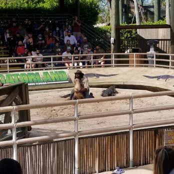Gatorland - Gator show - Zoos Near Me - Orlando, Florida Gatorland - Gator show - Zoos Near Me - Orlando, Florida