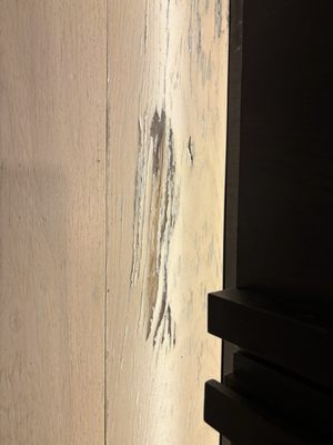 Nobu Hotel Atlanta by null