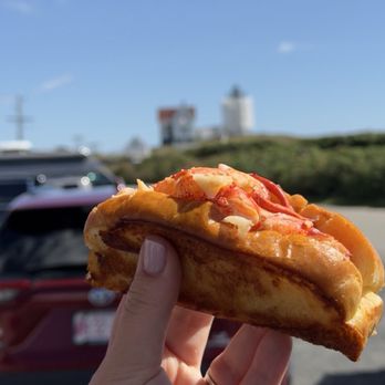 Fox's Lobster House - Hubble light lobster roll (hot with butter) - Seafood Near Me - York, Maine