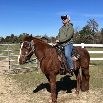 Hilltop Riding Stable - Horseback Riding Near Me - Augusta, Georgia Hilltop Riding Stable - Horseback Riding Near Me - Augusta, Georgia