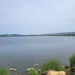 Salter Grove Memorial Park