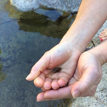 Peace On Deep Creek - Fishy or frog ? - Climbing Near Me - Green Valley Lake, California Peace On Deep Creek - Fishy or frog ? - Climbing Near Me - Green Valley Lake, California
