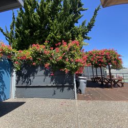 The Millbrae Racquet Club - Patio