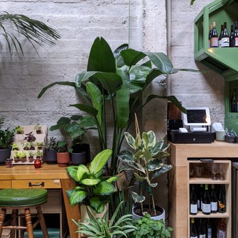Arcana - Plants - Nurseries & Gardening Near Me - San Francisco, California Arcana - Plants - Nurseries & Gardening Near Me - San Francisco, California
