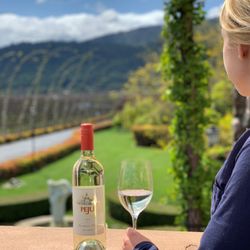 Peju Winery