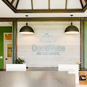 Goodvets - Veterinarians Near Me - Wesley Chapel, Florida Goodvets - Veterinarians Near Me - Wesley Chapel, Florida
