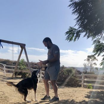 Crank’s Custom Canines - Gene and Angeline's dog celebrating a reward during training. - Pet Training Near Me - Temecula, California Crank’s Custom Canines - Gene and Angeline's dog celebrating a reward during training. - Pet Training Near Me - Temecula, California