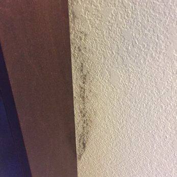 Hampton Inn Champaign/Urbana - Mold growing along the window - Hotels Near Me - Urbana, Illinois Hampton Inn Champaign/Urbana - Mold growing along the window - Hotels Near Me - Urbana, Illinois