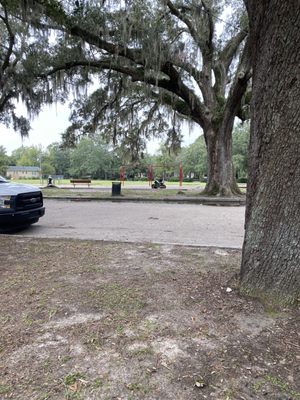 Daffin Park by null
