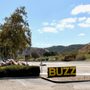 Buzz Cannabis