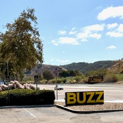 Buzz Cannabis