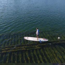 Harbor Beach Kayak