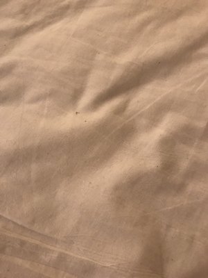 Bighorn Rentals by null