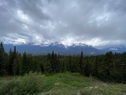 Whitehorn Bistro by null