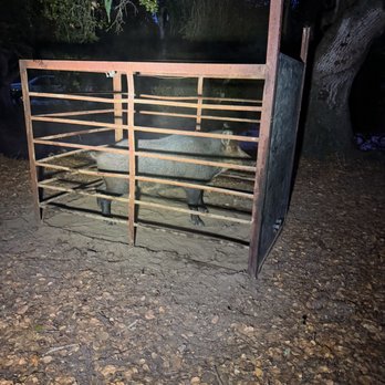 Urban Trapping Wildlife Control - Wildlife Control Near Me Urban Trapping Wildlife Control - Wildlife Control Near Me