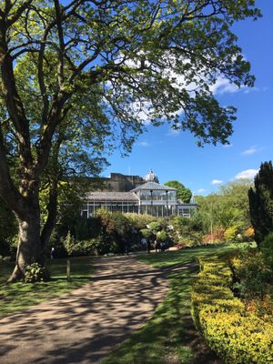 Pavilion Gardens by null