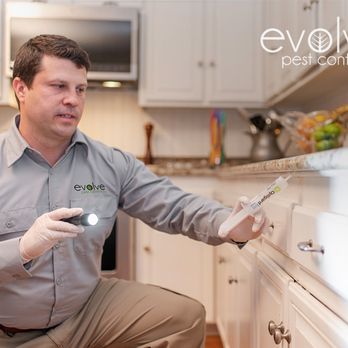 Evolve Pest Control - Pest Control Near Me - Las Vegas, Nevada Evolve Pest Control - Pest Control Near Me - Las Vegas, Nevada