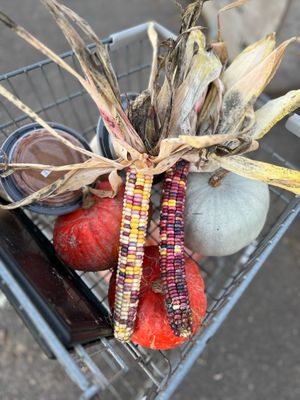 Bella Organic Farm by null