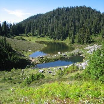 Mt Baker Ski Area - Ski Resorts Near Me - Bellingham, Washington