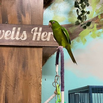 Preuss Pets - Aquarium Services Near Me - Lansing, Michigan