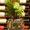 Griffin's Floral Design gift card