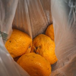 Tangerines from the produce section