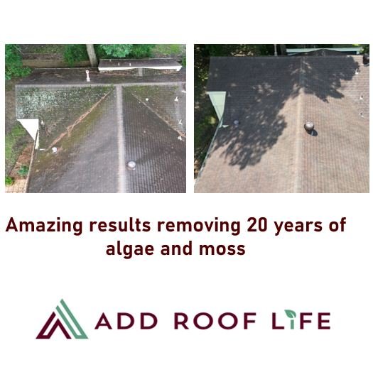 Slide of Add Roof Life