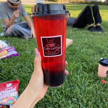 Cafe LaTTea - Rose Green Tea + Boba - Cafes Near Me - Cupertino, California Cafe LaTTea - Rose Green Tea + Boba - Cafes Near Me - Cupertino, California