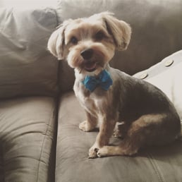 Doesn't he look so cute? Doesn't he look so cute?