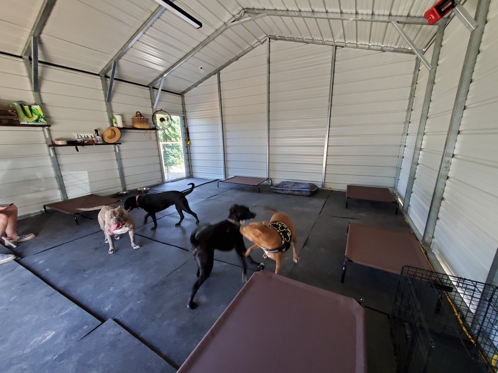 WAGGIN’ TAILS DOGGIE DAYCARE Updated June 2024 10 Photos Oregon City, Oregon Pet