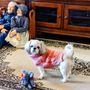 Photo of Bankhead Animal Hospital