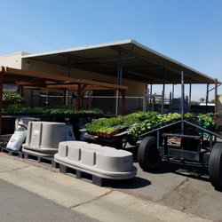 Country Farm Supply - A small nursery out back.