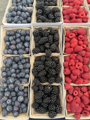 NoHo Farmers Market by null