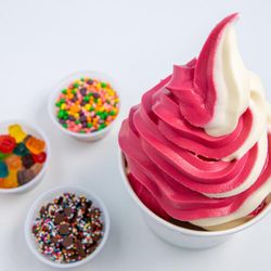 Yogurtini Self Serve