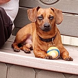 RUFF 'N READY - EARL "THE SQUIRREL"