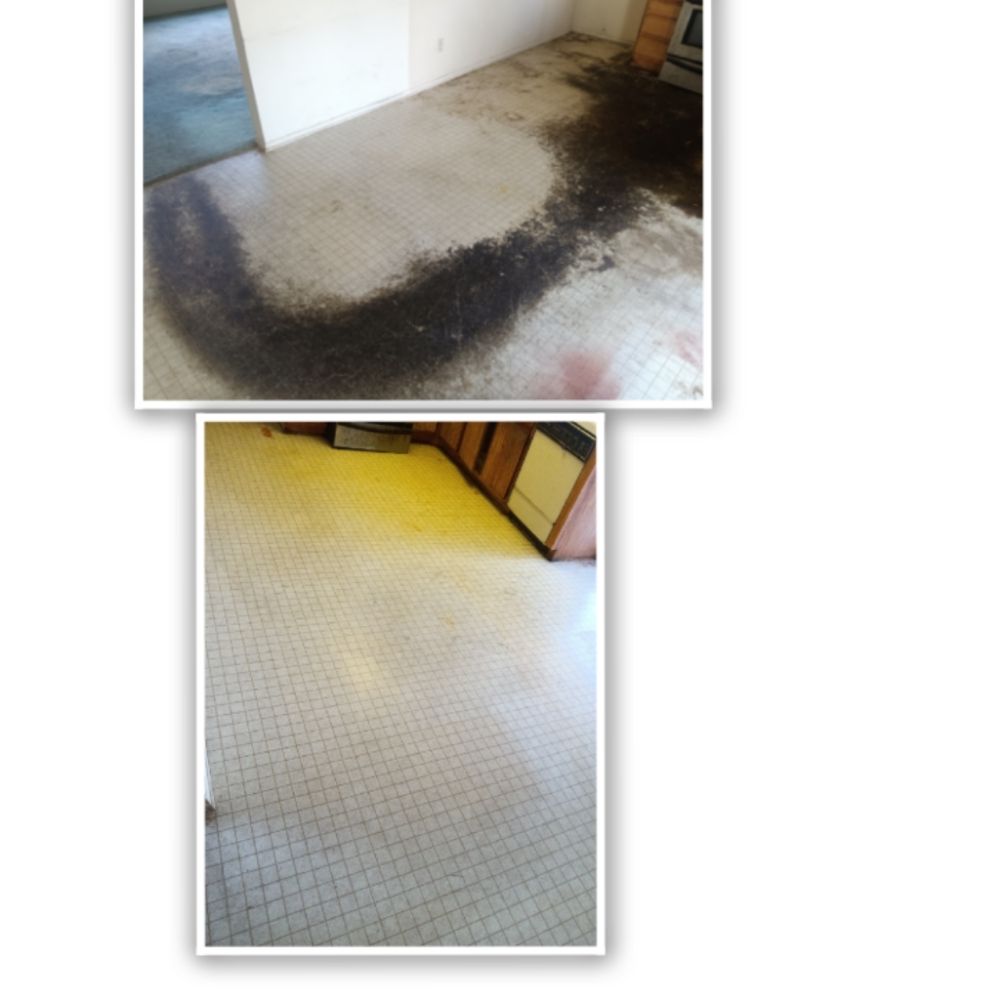 BRANDY’S HOUSE CLEANING San Diego, California Home Cleaning Phone