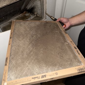 The Capitol - Mold in ac filter - University Housing Near Me - Tallahassee, Florida The Capitol - Mold in ac filter - University Housing Near Me - Tallahassee, Florida