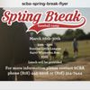 Southern California Baseball Academy gift card