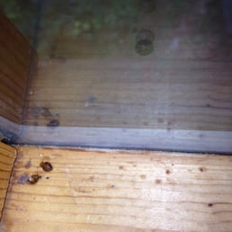 Check for bed bugs at this cabin rental.