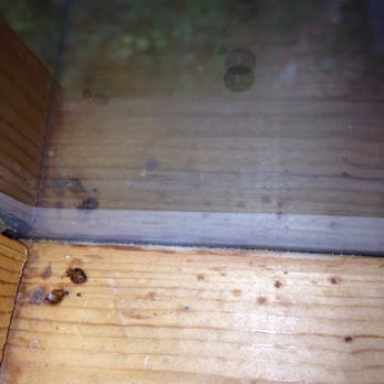 Little Valley Mountain Resort - Check for bed bugs at this cabin rental. - Resorts Near Me - Sevierville, Tennessee