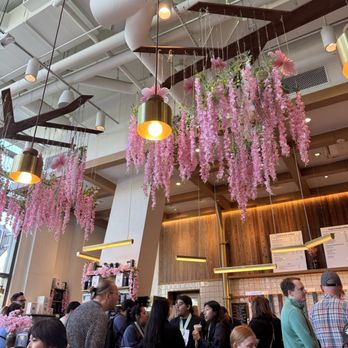 Commonwealth Joe - Cafes Near Me - Arlington, Virginia
