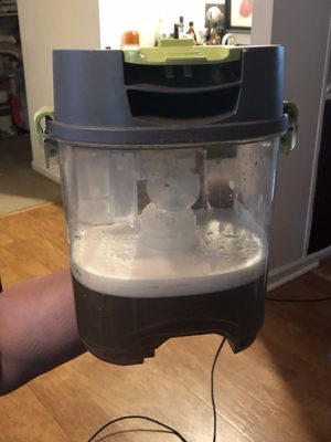 Peerless Carpet Care & Restoration Services