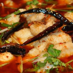 Pak Choi - Im Wasser kochend Fischfilet scharf