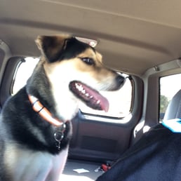 Happy and tired Happy and tired