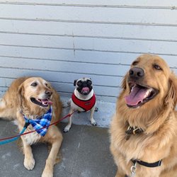 'Sup Dog